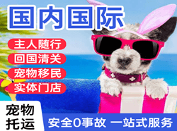 湘西边城空运公司国际宠物托运 【国